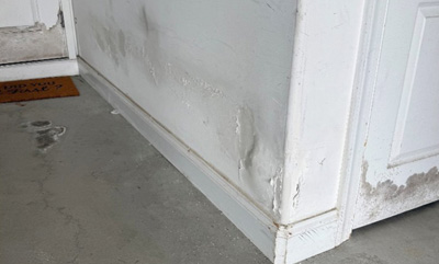 Coastal Asset Preservation: A Strategic Defense